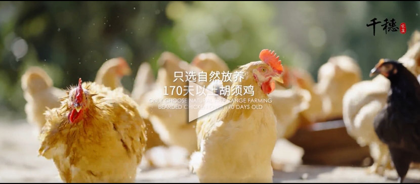 微信截图_20250821165711.jpg